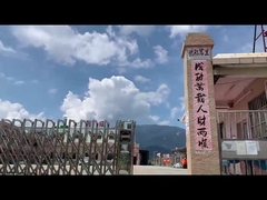 Φαρμακευτική γραμμή